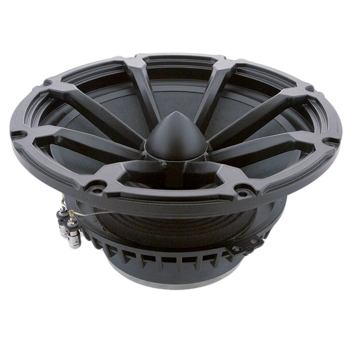 Volt RV3143 12inch Woofer The Audio Co.
