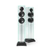 Waterfall Audio VICTORIA XT Floorstanding Speaker (Pair) - Home Speaker