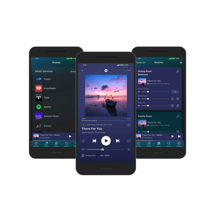 WiiM Pro Music Streamer - The Audio Co.