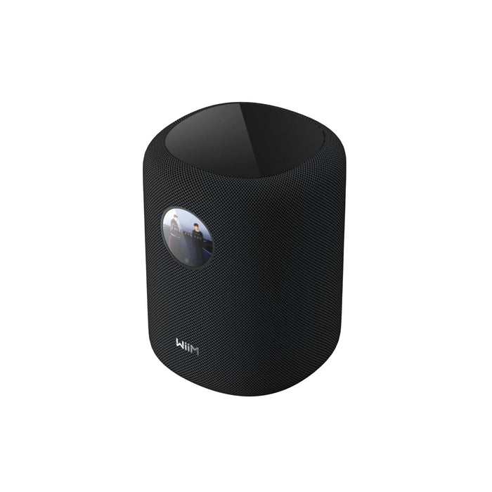 WiiM Sound Multiroom Wireless Speaker - Wireless Speaker