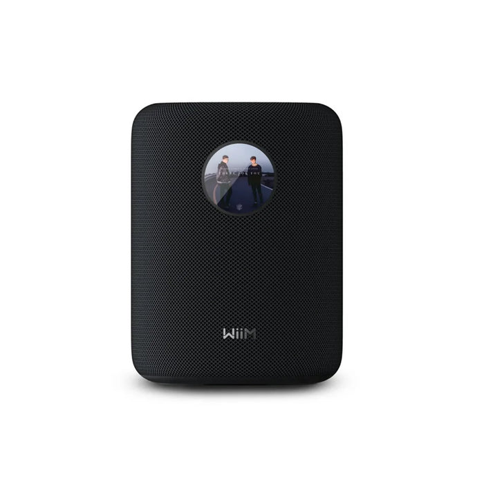 WiiM Sound Multiroom Wireless Speaker - Wireless Speaker