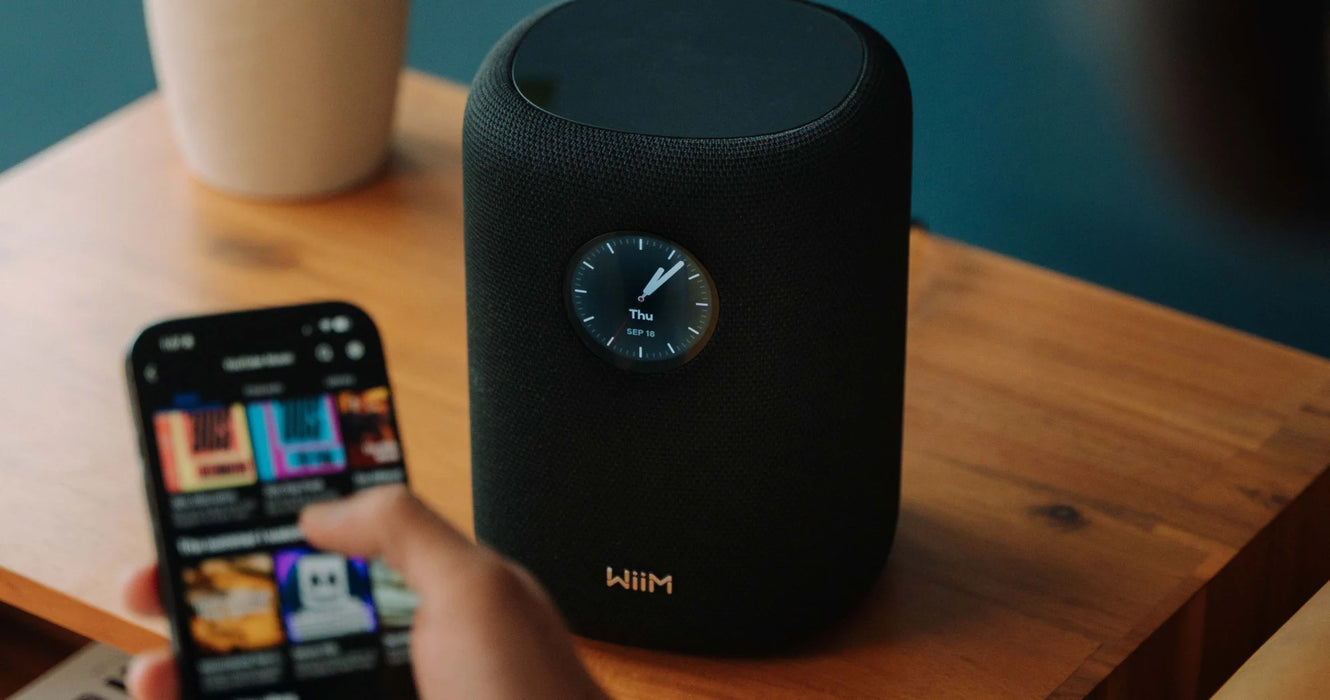 WiiM Sound Multiroom Wireless Speaker - Wireless Speaker