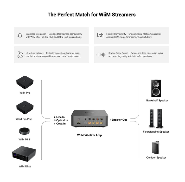 WiiM Vibelink Amp - Power Amplifier